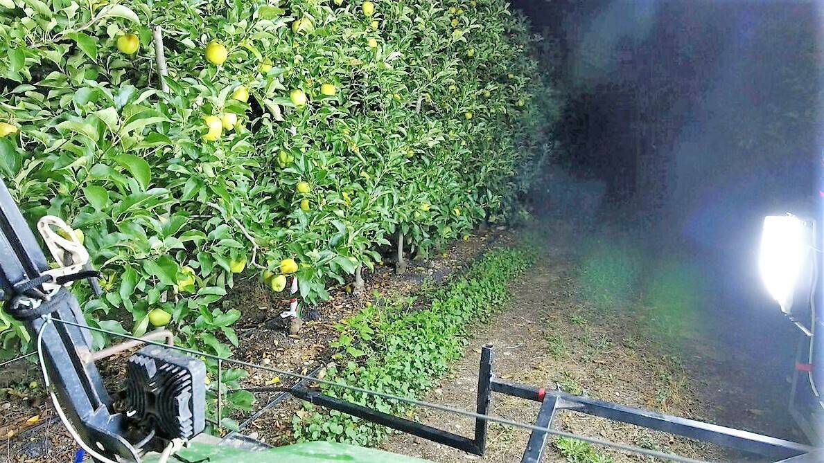 Agerpix|procesando datos|aplicación consulta|Agerpix doble|Agerpix en Twitter-2